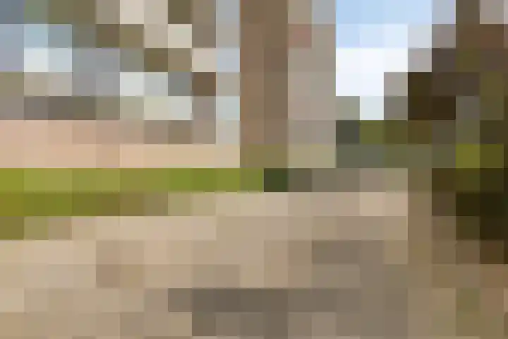 Nieuwe Damlaan 433 Schiedam thumbnail 29