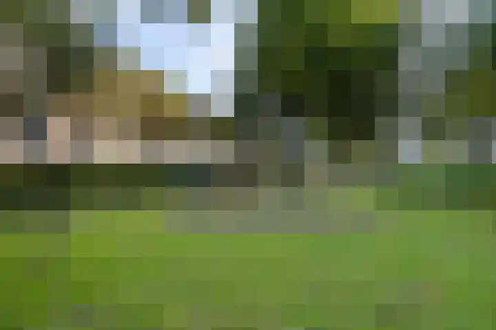 Nieuwe Damlaan 433 Schiedam thumbnail 30