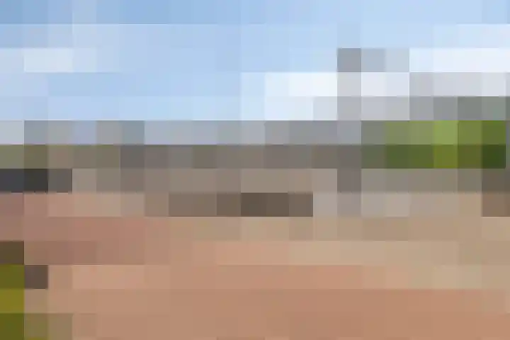 Nieuwe Damlaan 433 Schiedam thumbnail 31