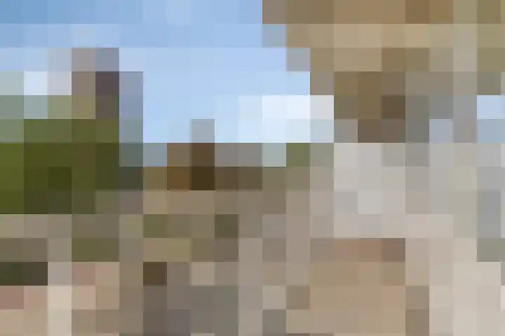 Nieuwe Damlaan 433 Schiedam thumbnail 6