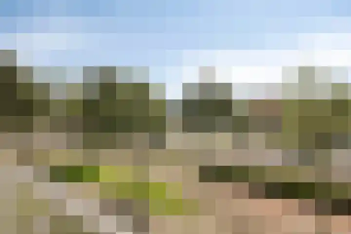 Nieuwe Damlaan 433 Schiedam thumbnail 7