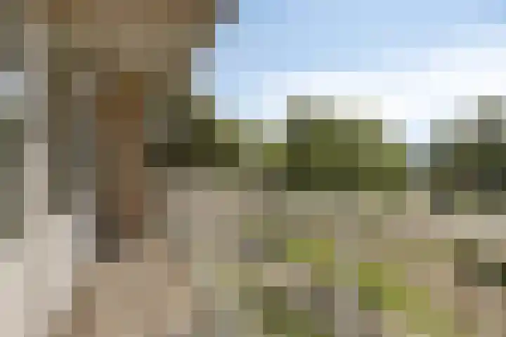 Nieuwe Damlaan 433 Schiedam thumbnail 8