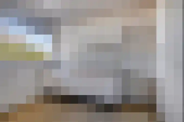 Nieuwe Damlaan 433 Schiedam thumbnail 9