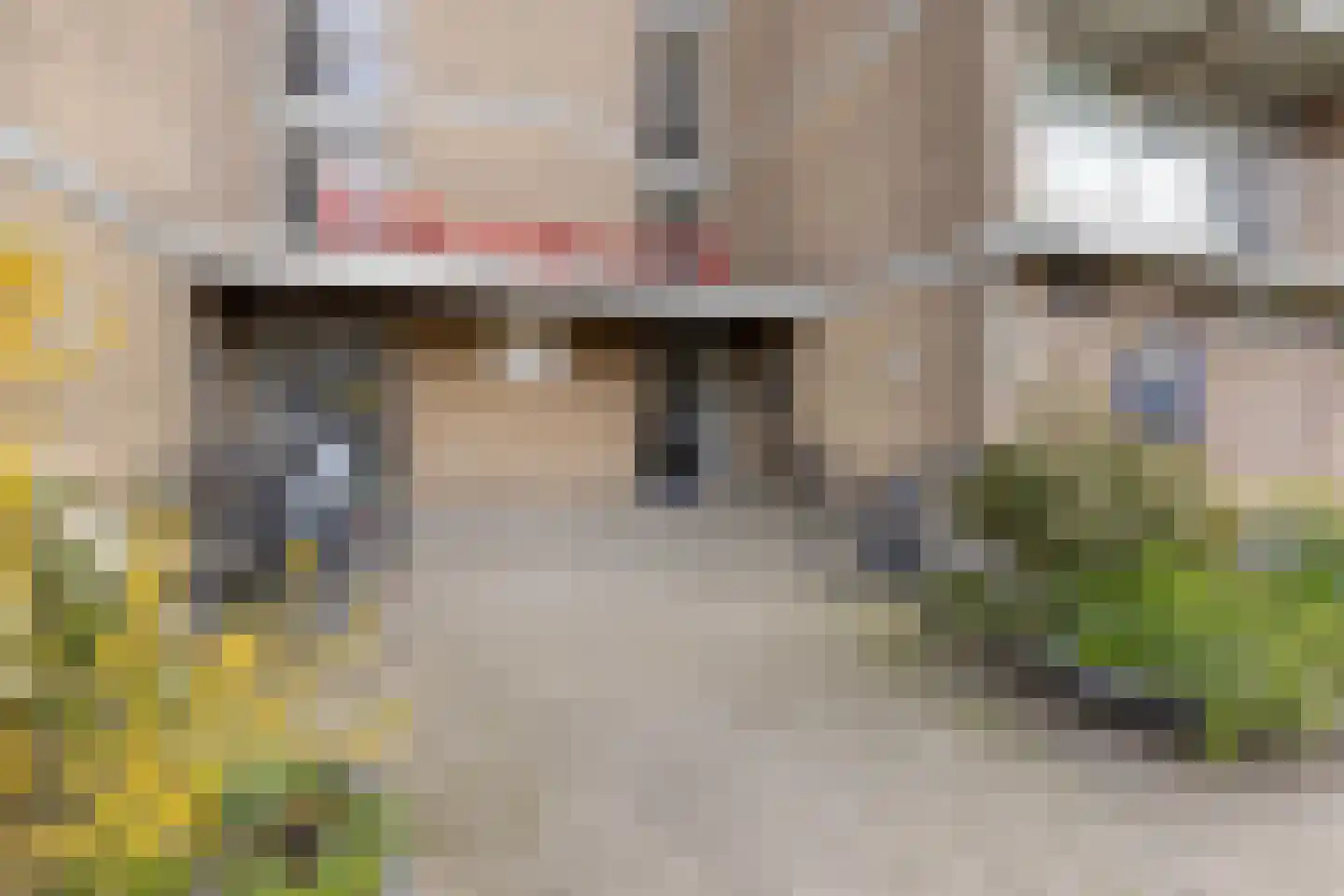 Nieuwe Damlaan 471 Schiedam thumbnail 19