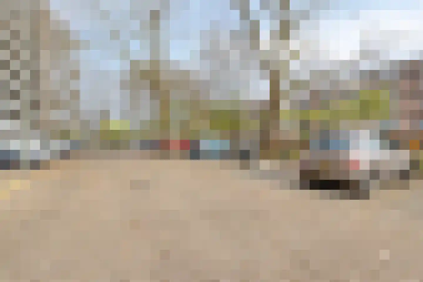 Nieuwe Damlaan 471 Schiedam thumbnail 23