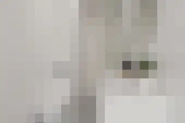 Nieuwe Damlaan 481 Schiedam thumbnail 13