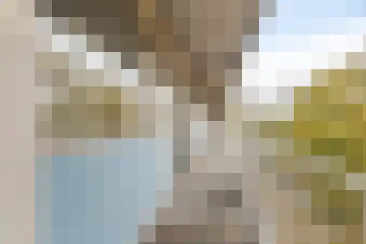 Nieuwe Damlaan 481 Schiedam thumbnail 15