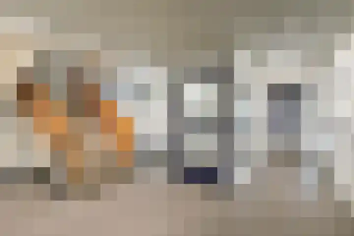 Nieuwe Damlaan 481 Schiedam thumbnail 17