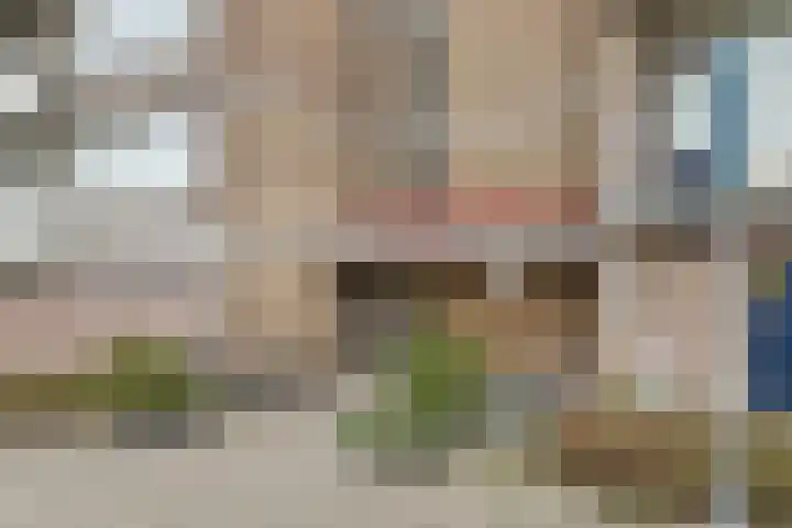 Nieuwe Damlaan 481 Schiedam thumbnail 18