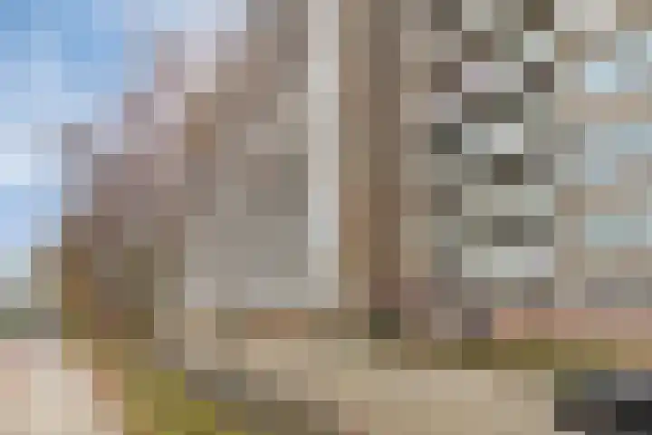 Nieuwe Damlaan 481 Schiedam thumbnail 19