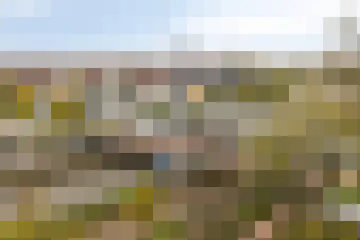 Nieuwe Damlaan 481 Schiedam thumbnail 6