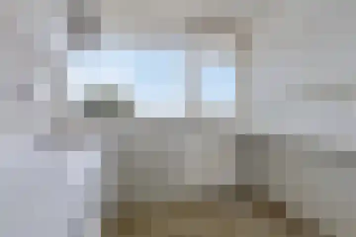 Nieuwe Damlaan 521 Schiedam thumbnail 11