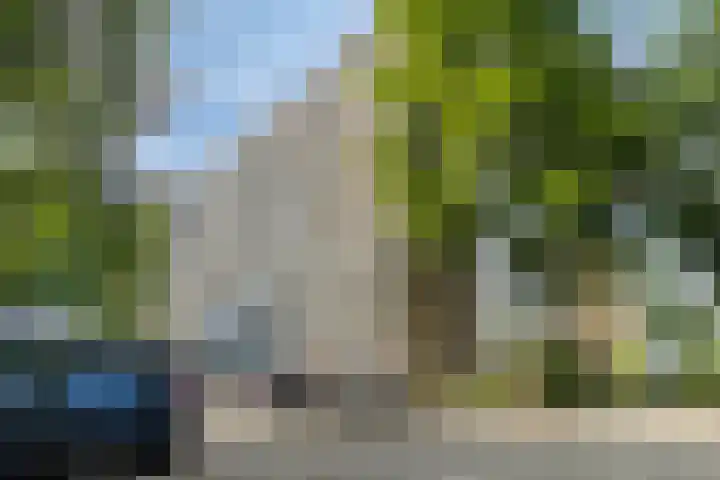 Nieuwe Damlaan 521 Schiedam thumbnail 20