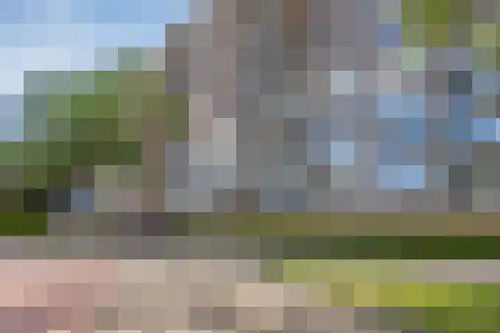Nieuwe Damlaan 521 Schiedam thumbnail 21