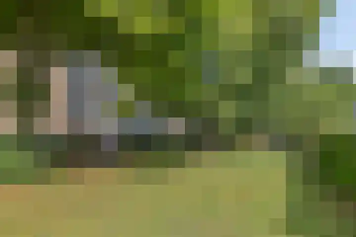 Nieuwe Damlaan 521 Schiedam thumbnail 22