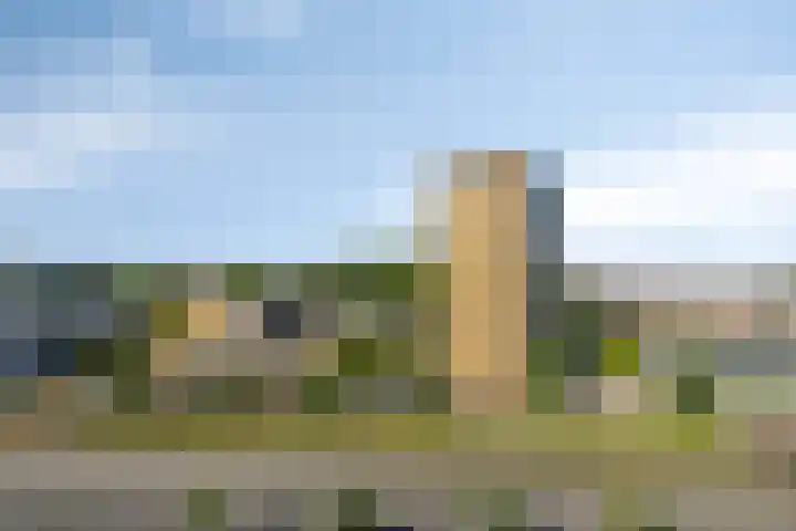 Nieuwe Damlaan 521 Schiedam thumbnail 7