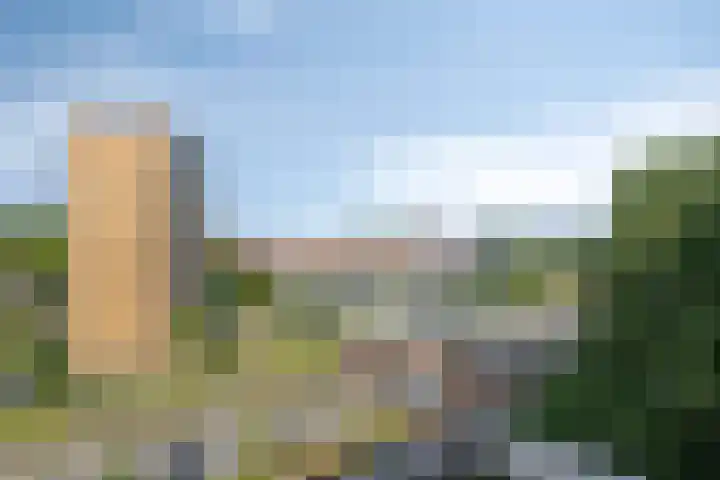 Nieuwe Damlaan 521 Schiedam thumbnail 8
