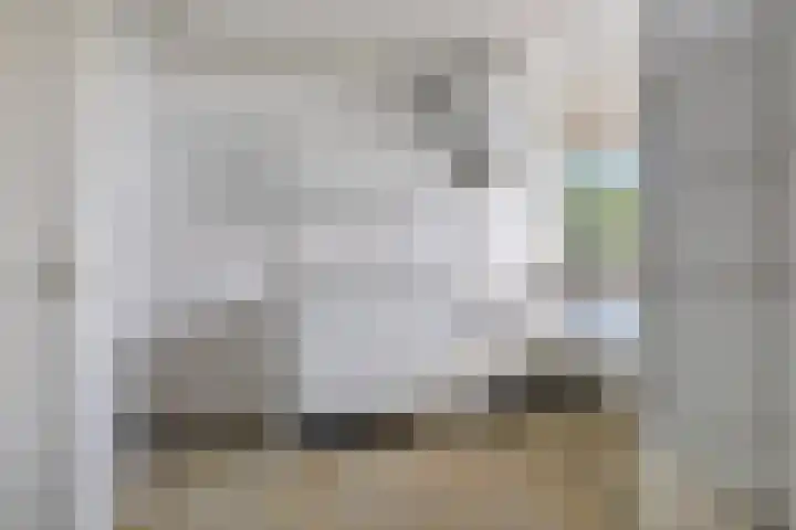 Nieuwe Damlaan 521 Schiedam thumbnail 9