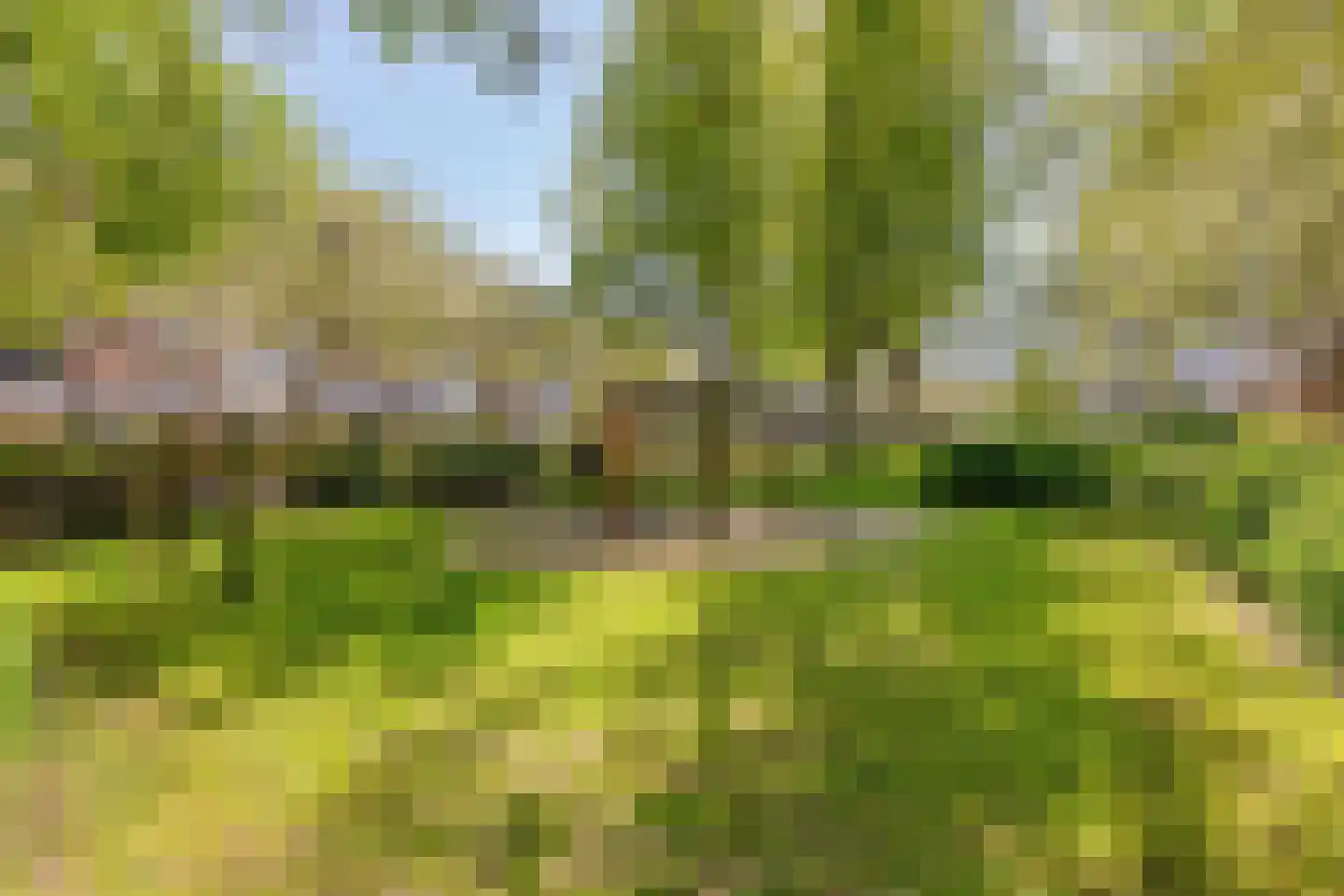 Nieuwe Damlaan 531 Schiedam thumbnail 21