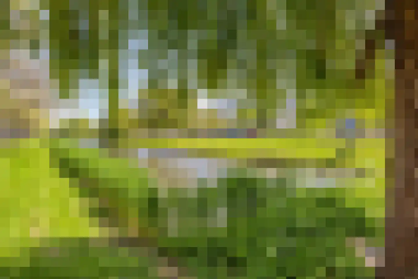 Nieuwe Damlaan 531 Schiedam thumbnail 22