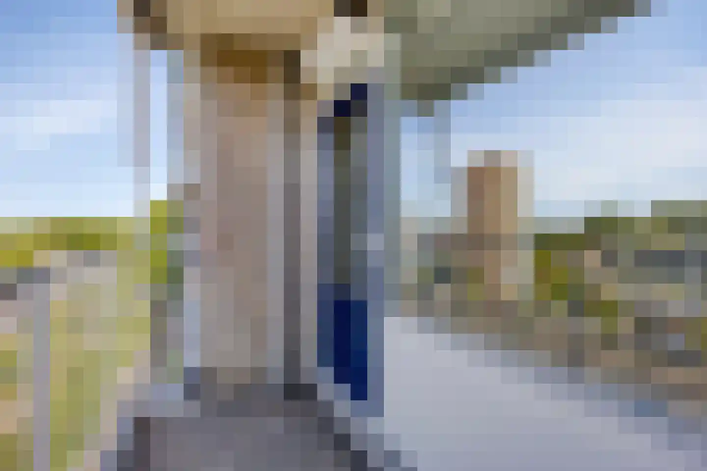 Nieuwe Damlaan 531 Schiedam thumbnail 5