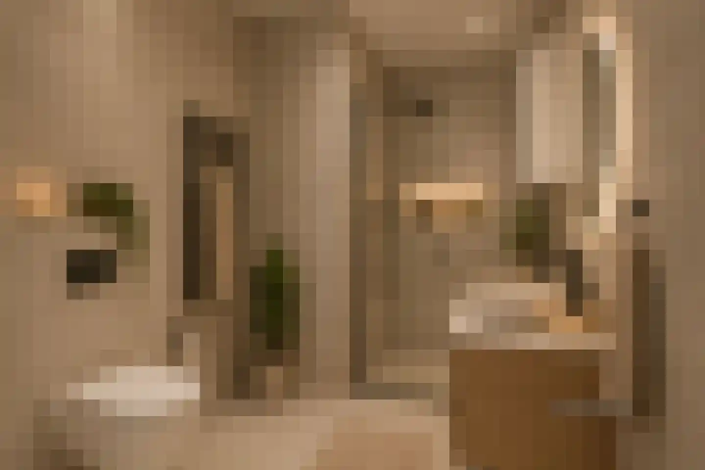 Nieuwe Damlaan 551 Schiedam thumbnail 12
