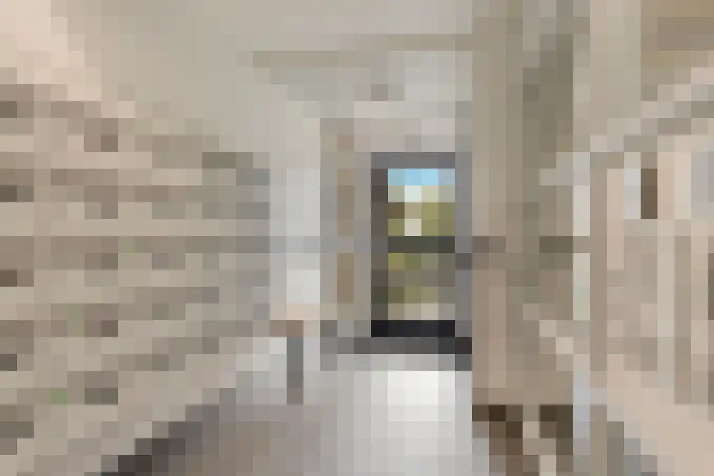 Nieuwe Damlaan 551 Schiedam thumbnail 15