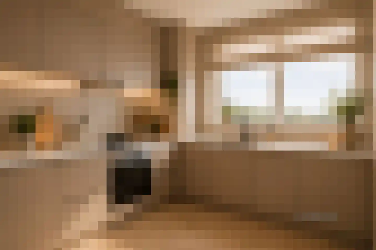 Nieuwe Damlaan 551 Schiedam thumbnail 9