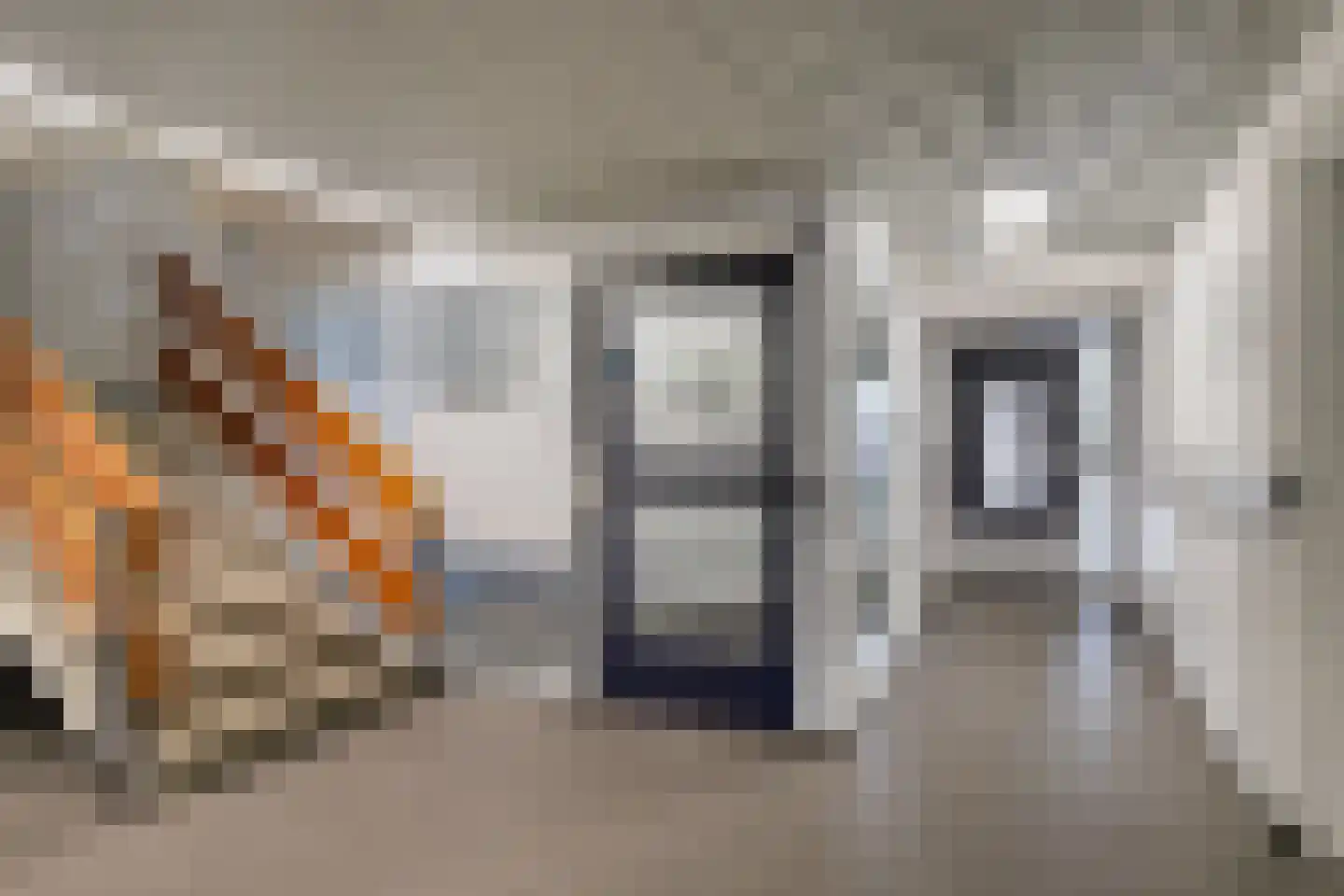 Nieuwe Damlaan 571 Schiedam thumbnail 17