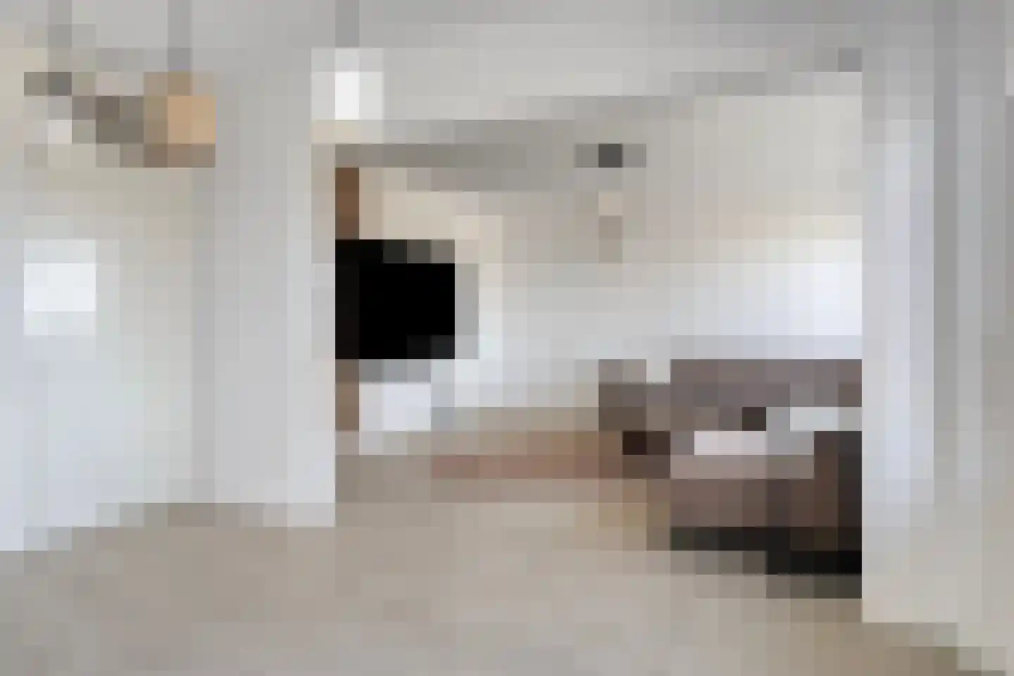 Nieuwe Damlaan 577 Schiedam thumbnail 5