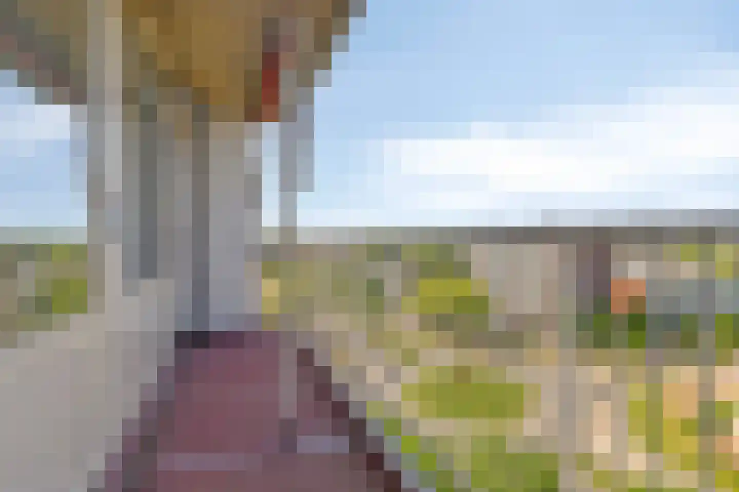 Nieuwe Damlaan 577 Schiedam thumbnail 7