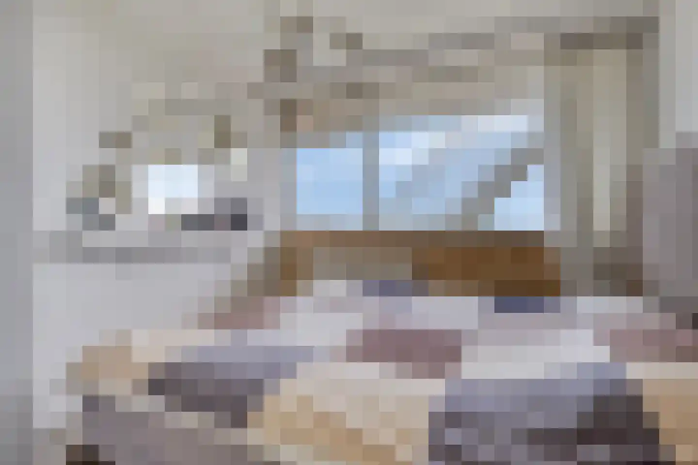 Nieuwe Damlaan 577 Schiedam thumbnail 9