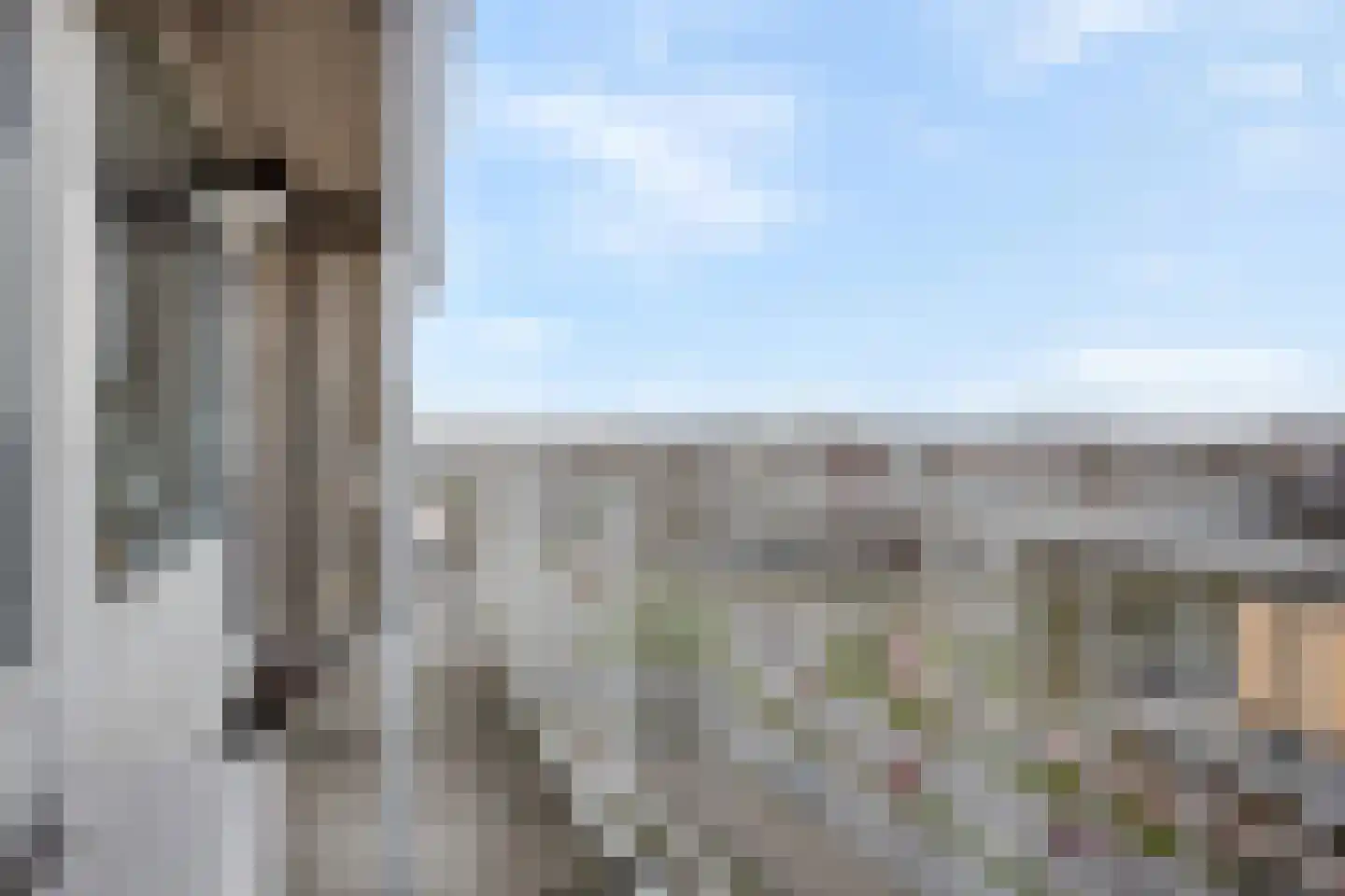 Nieuwe Damlaan 589 Schiedam thumbnail 21