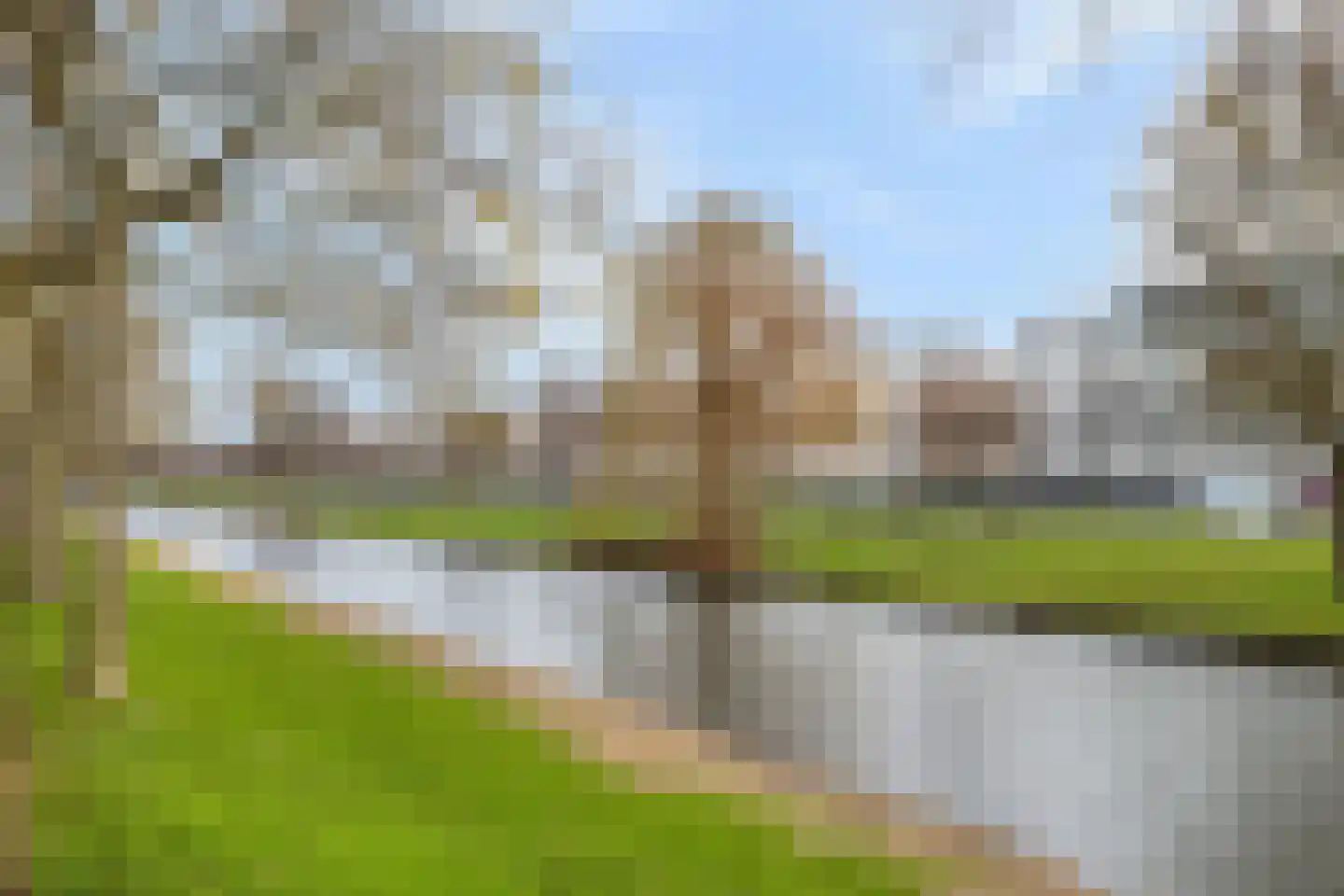 Nieuwe Damlaan 589 Schiedam thumbnail 26