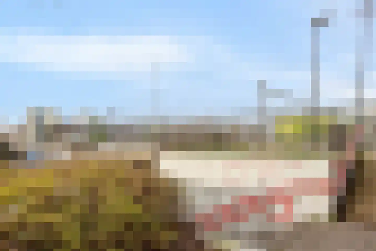Nieuwe Damlaan 589 Schiedam thumbnail 27
