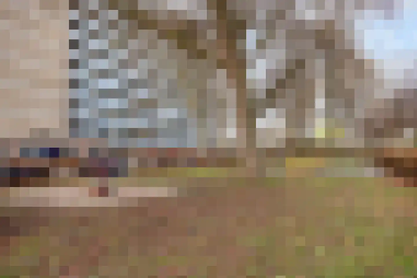 Nieuwe Damlaan 589 Schiedam thumbnail 29