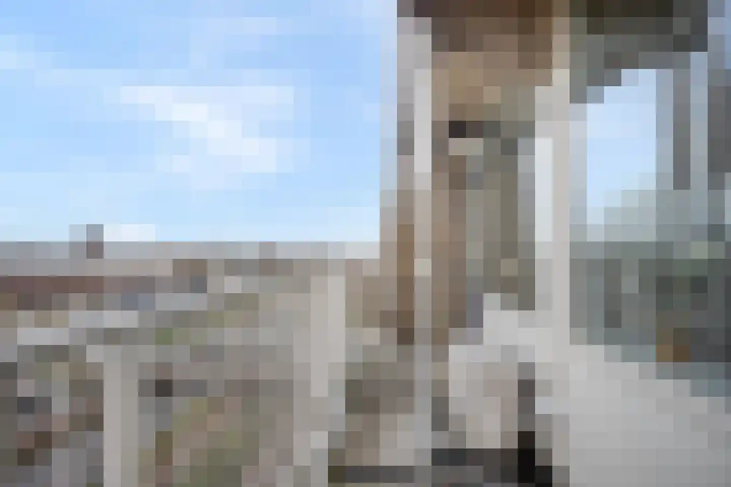 Nieuwe Damlaan 589 Schiedam thumbnail 6