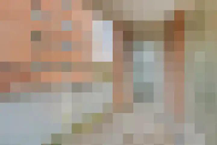 Nieuwe Damlaan 766 Schiedam thumbnail 19