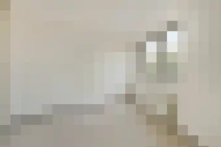Nieuwe Damlaan 766 Schiedam thumbnail 23