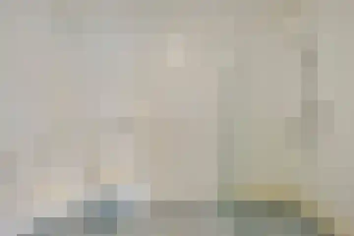 Nieuwe Damlaan 766 Schiedam thumbnail 27