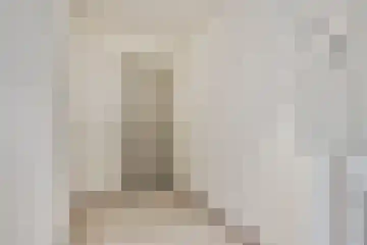 Nieuwe Damlaan 766 Schiedam thumbnail 35