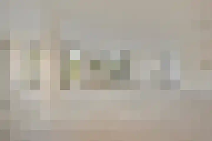 Nieuwe Damlaan 766 Schiedam thumbnail 6