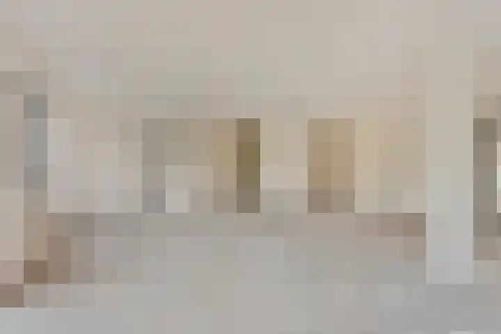 Nieuwe Damlaan 766 Schiedam thumbnail 8