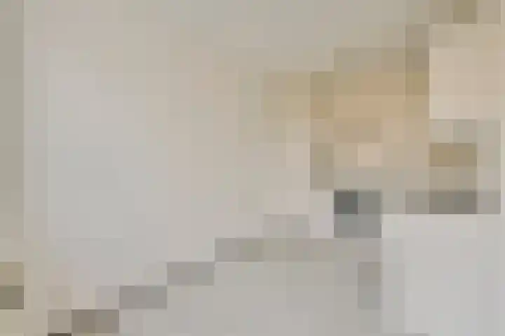Nieuwe Damlaan 766 Schiedam thumbnail 9