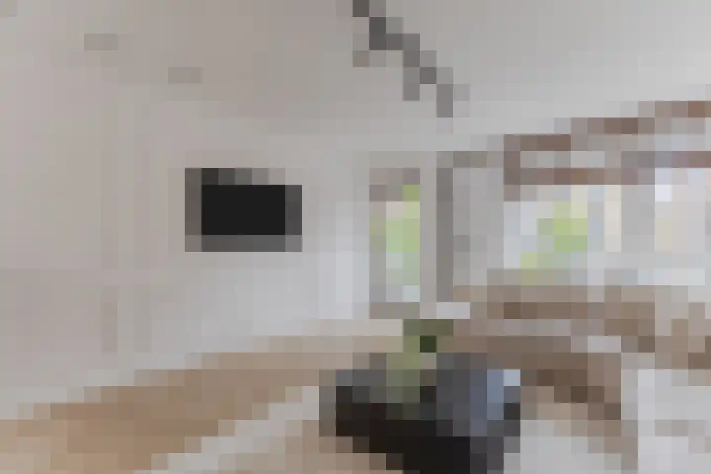 Nieuwe Damlaan 778 Schiedam thumbnail 15