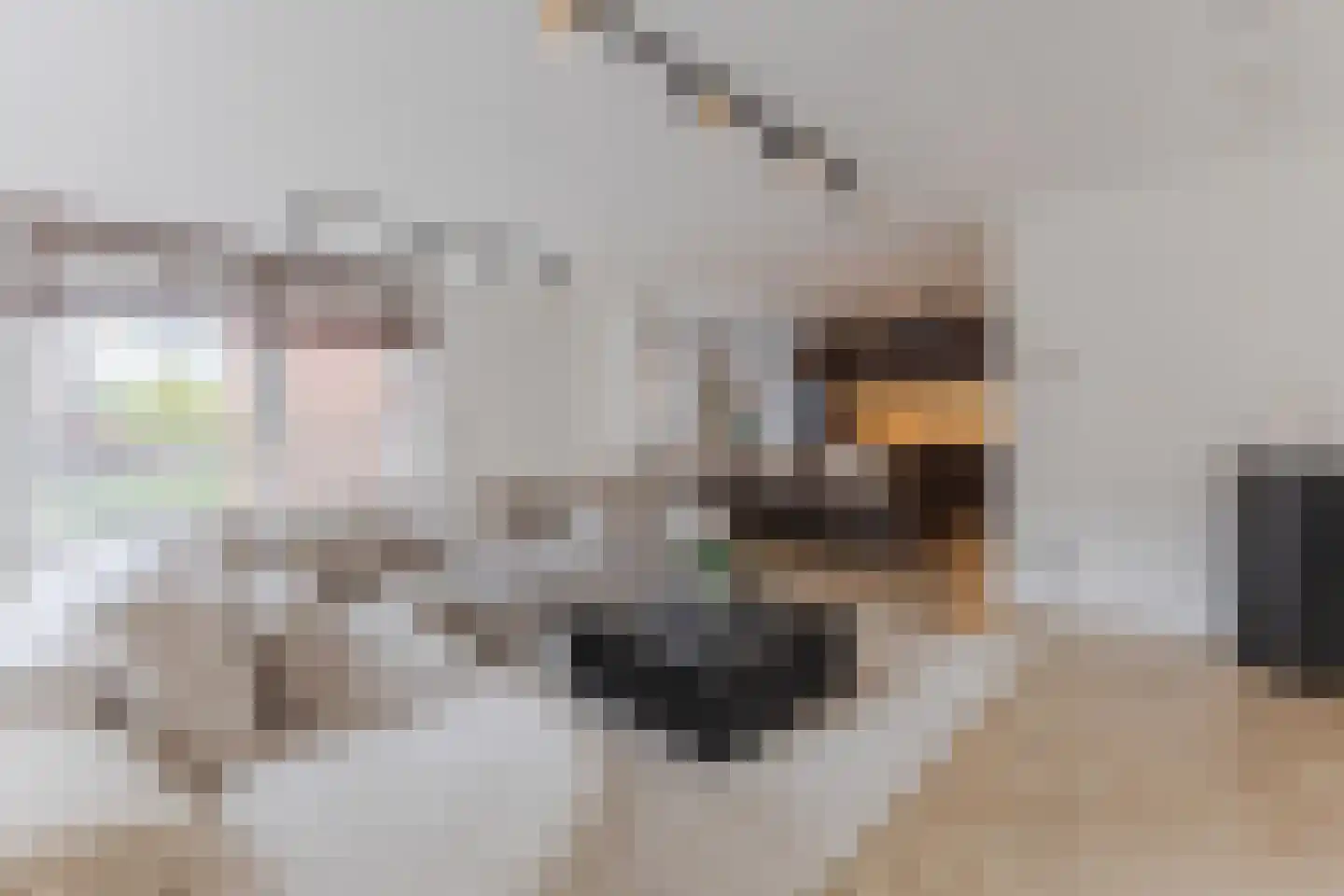 Nieuwe Damlaan 778 Schiedam thumbnail 17