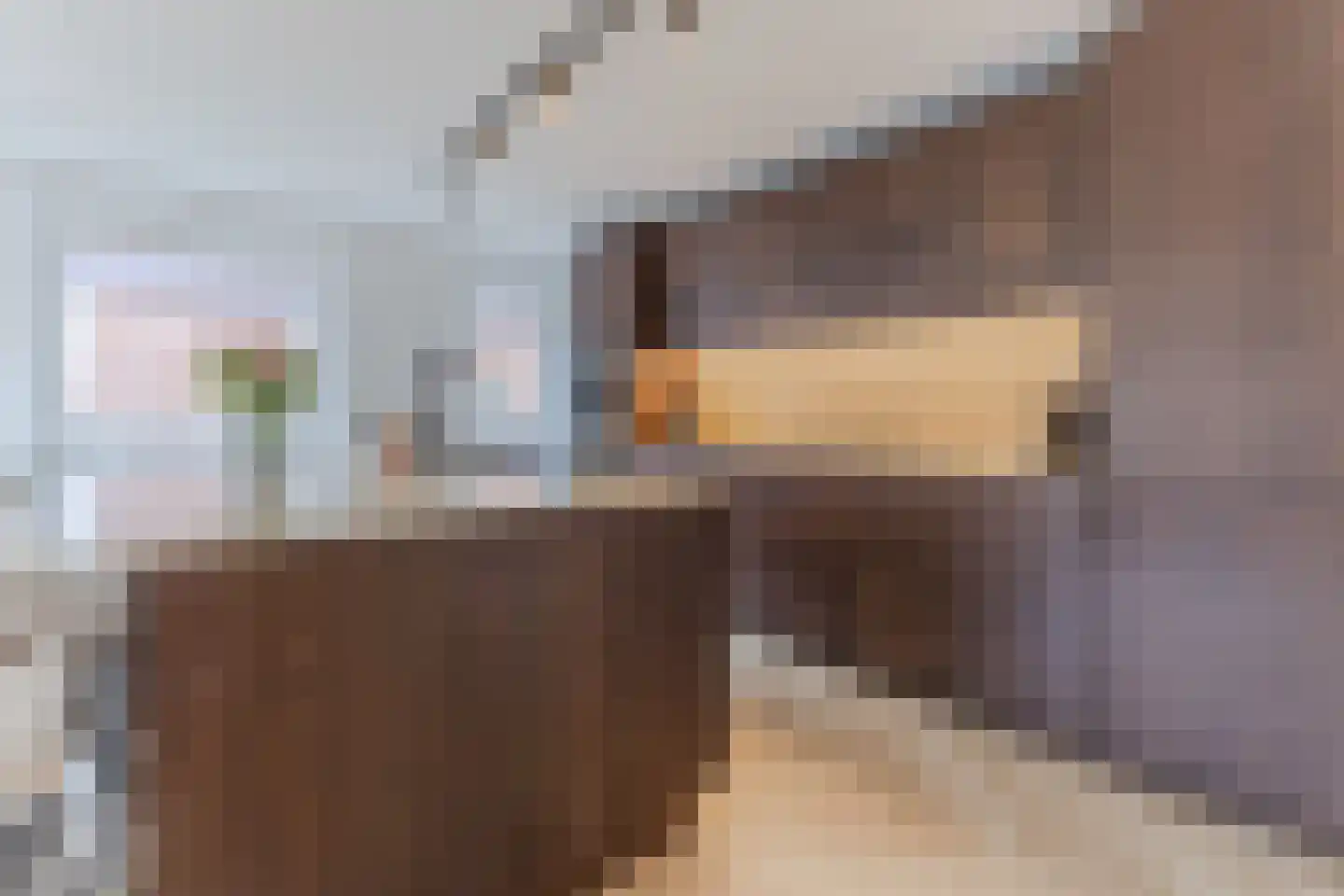 Nieuwe Damlaan 778 Schiedam thumbnail 19