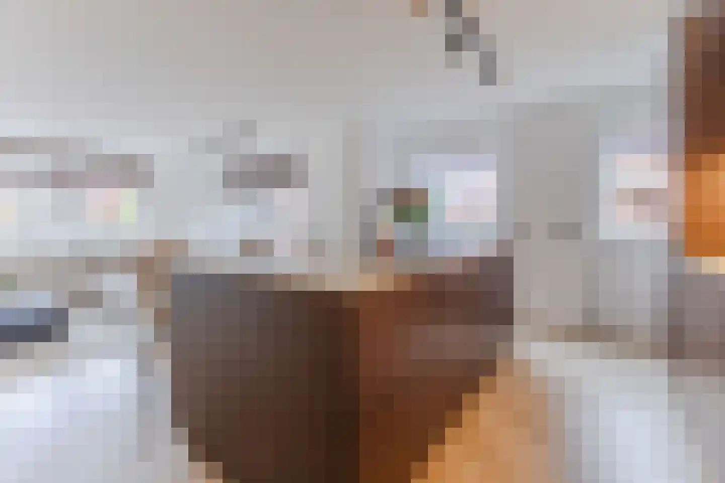 Nieuwe Damlaan 778 Schiedam thumbnail 21