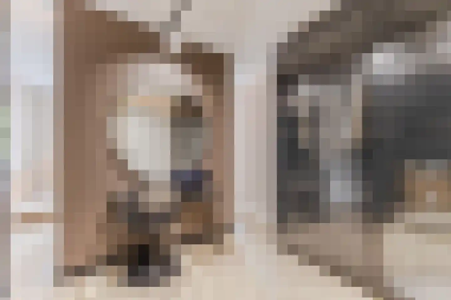 Nieuwe Damlaan 778 Schiedam thumbnail 28