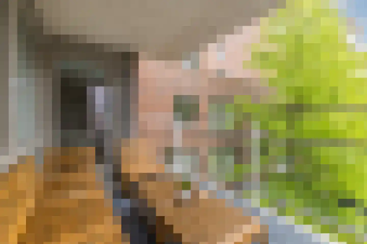 Nieuwe Damlaan 778 Schiedam thumbnail 39